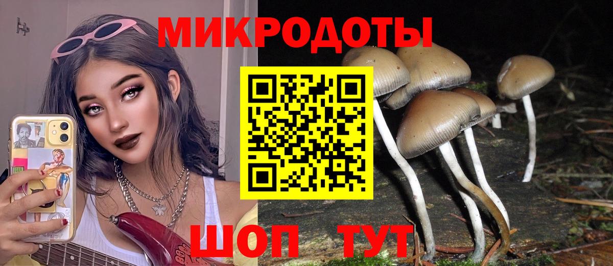 Псилоцибиновые грибы Magic Shrooms  Вход с VPN  Галлюциногенные грибы Psilocybine cubensis  сколько стоит  Сланцы 